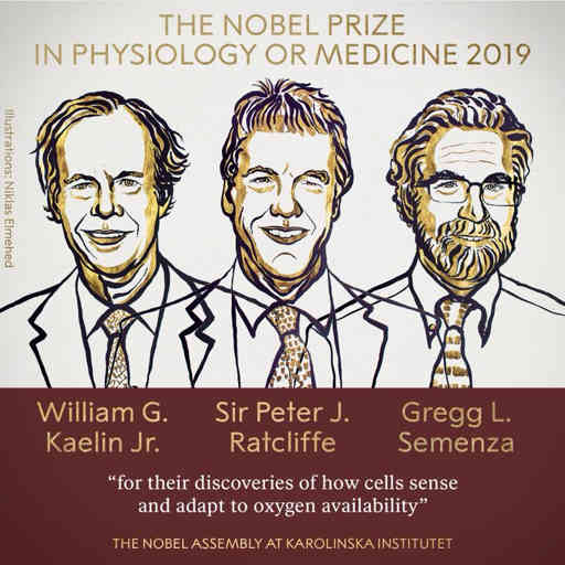 चिकित्सा के क्षेत्र में नोबेल पुरस्कार